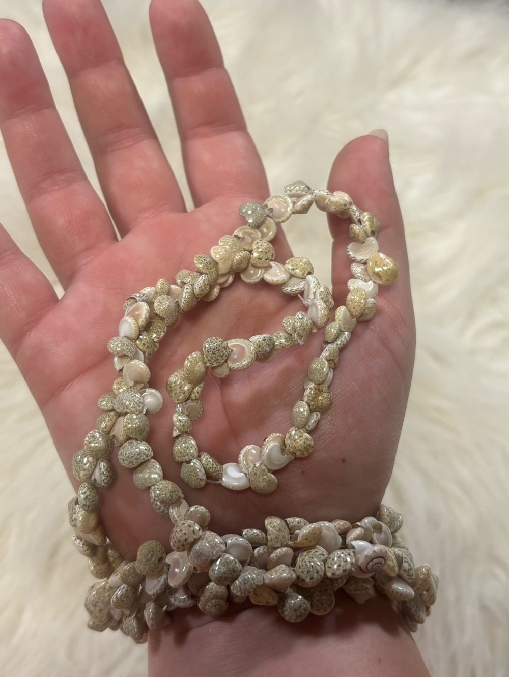 Cream Shell Bead Necklace